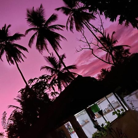 Wine Tree Garden Guesthouse 米瑞莎 外观 照片