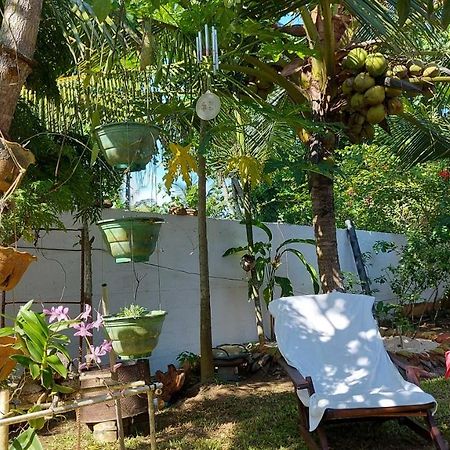 Wine Tree Garden Guesthouse 米瑞莎 外观 照片