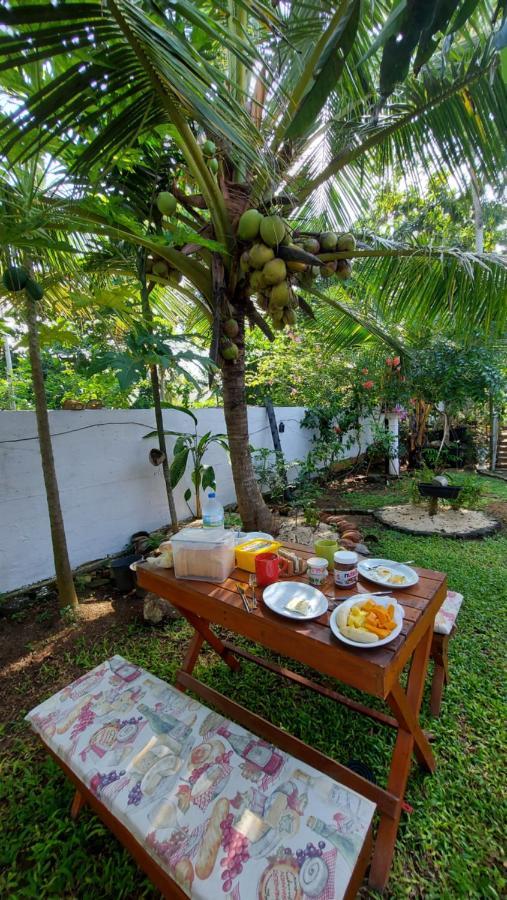 Wine Tree Garden Guesthouse 米瑞莎 外观 照片