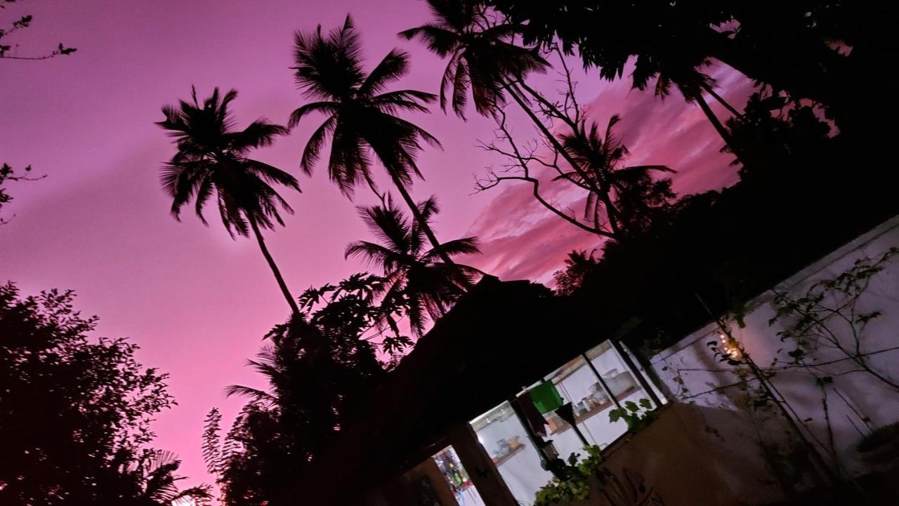 Wine Tree Garden Guesthouse 米瑞莎 外观 照片