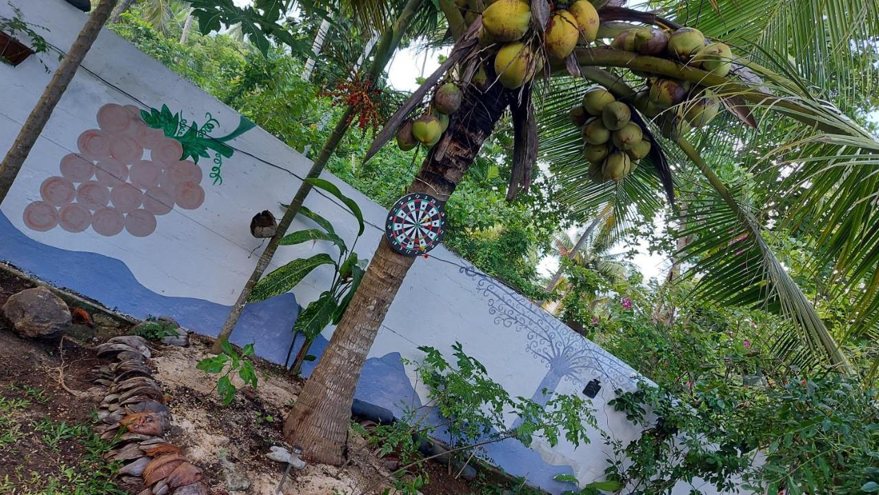 Wine Tree Garden Guesthouse 米瑞莎 外观 照片