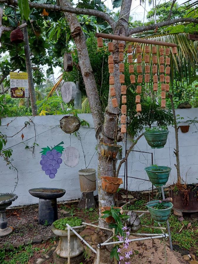 Wine Tree Garden Guesthouse 米瑞莎 外观 照片