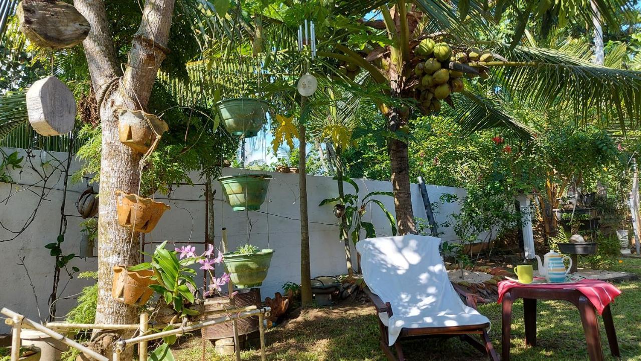 Wine Tree Garden Guesthouse 米瑞莎 外观 照片