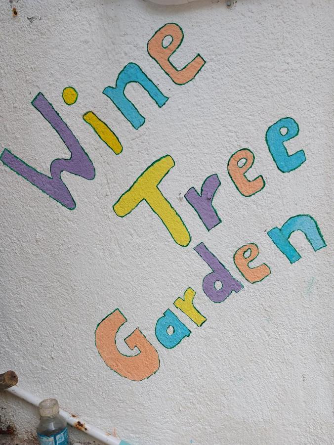 Wine Tree Garden Guesthouse 米瑞莎 外观 照片