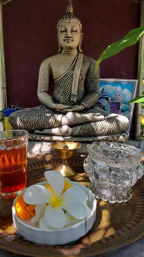 Wine Tree Garden Guesthouse 米瑞莎 外观 照片