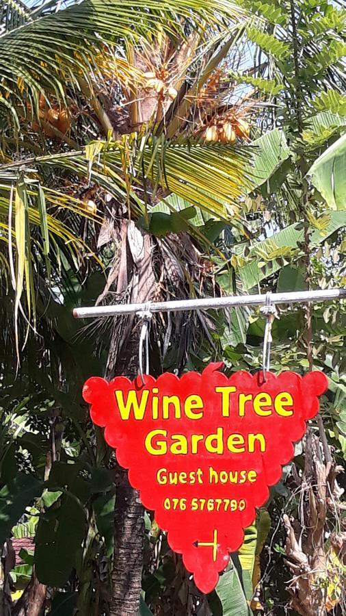 Wine Tree Garden Guesthouse 米瑞莎 外观 照片