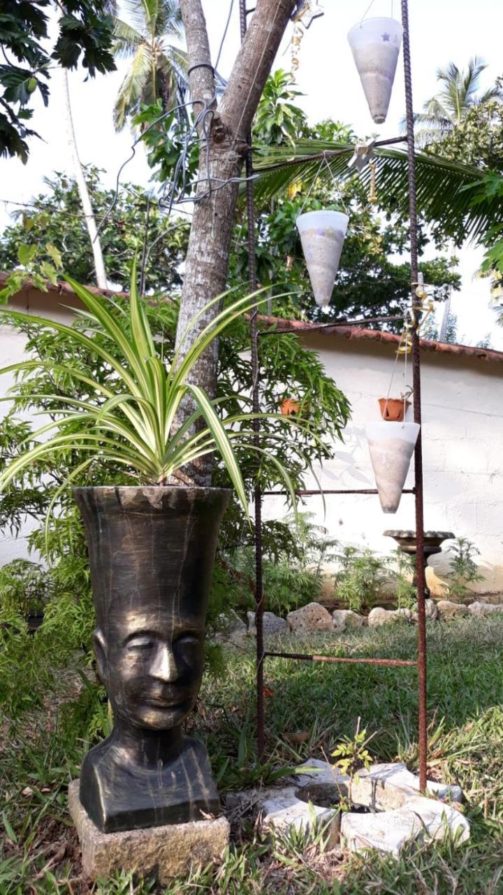 Wine Tree Garden Guesthouse 米瑞莎 外观 照片