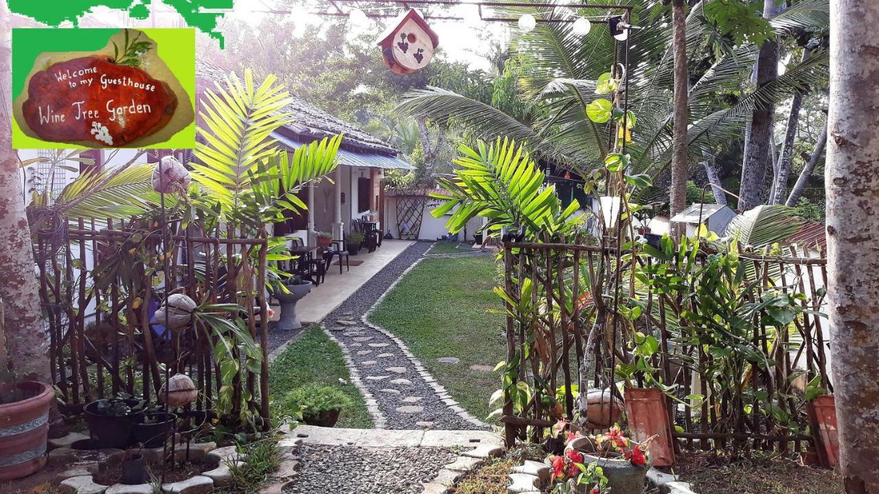Wine Tree Garden Guesthouse 米瑞莎 外观 照片